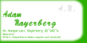 adam mayerberg business card